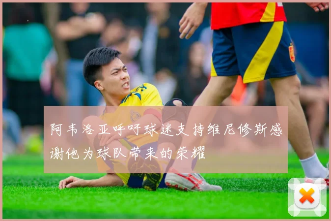 阿韦洛亚呼吁球迷支持维尼修斯感谢他为球队带来的荣耀