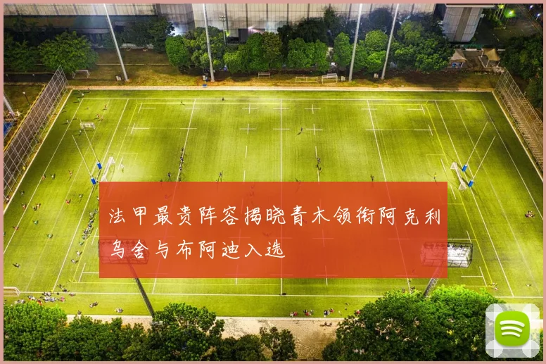 法甲最贵阵容揭晓青木领衔阿克利乌舍与布阿迪入选