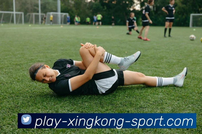 星空体育APP 高清赛事图