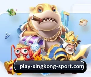 实时比分与赛程查询（xingkong）